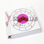 Clock,teaching,wood or plastic,ARABIC